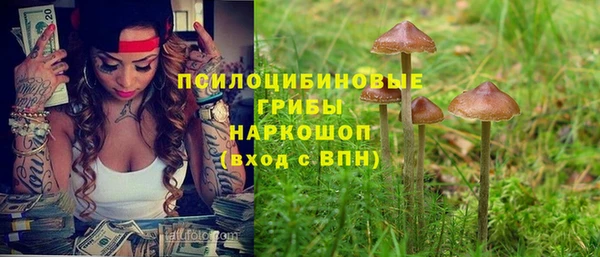 винт Богданович